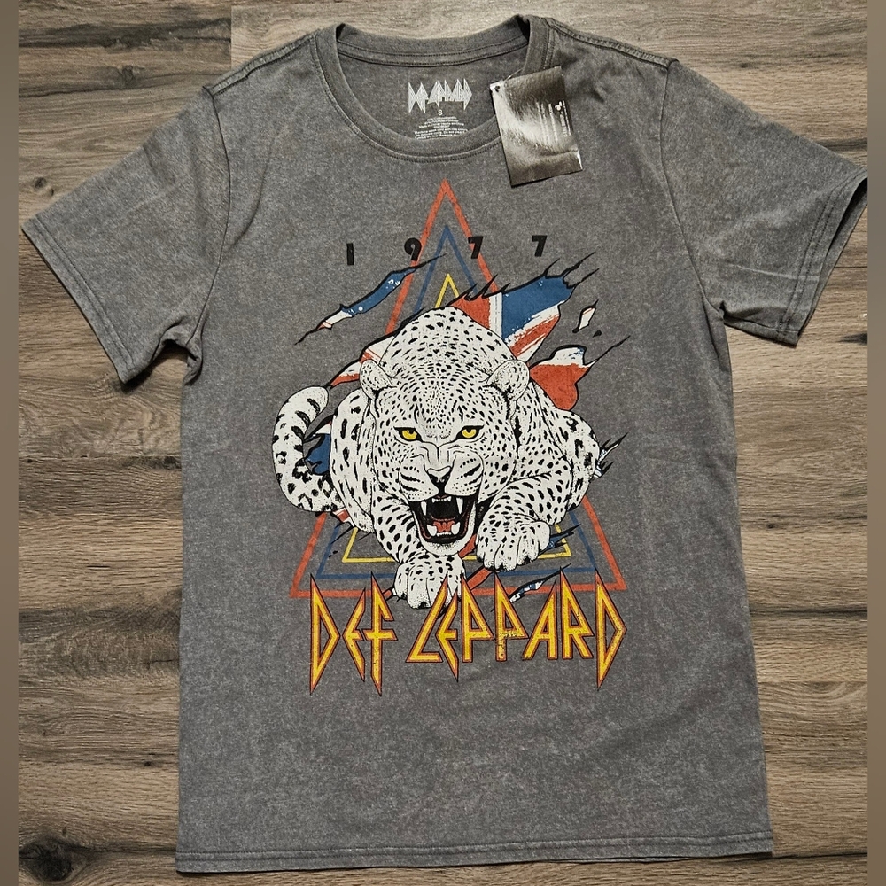 Def Leppard 1977 Graphic Tee in Gray